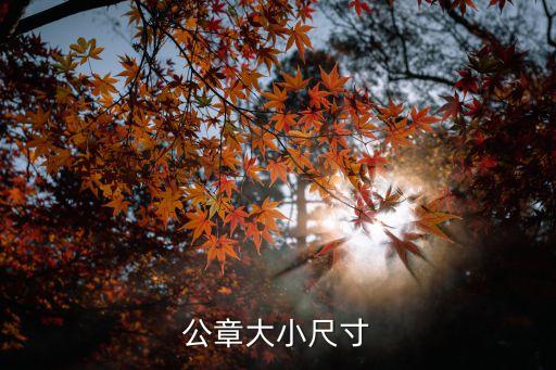 公章大小尺寸