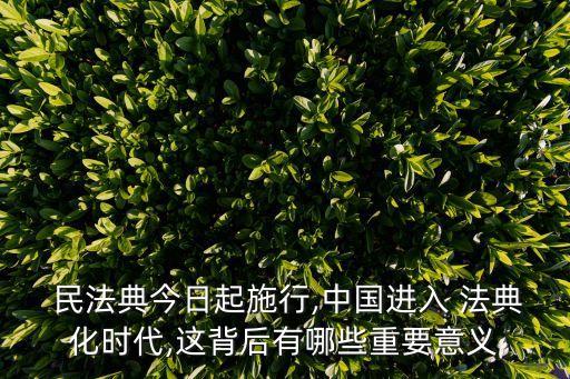  民法典今日起施行,中國進(jìn)入 法典化時(shí)代,這背后有哪些重要意義