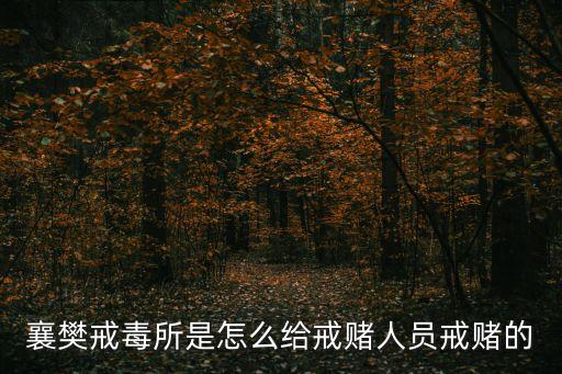 襄樊戒毒所是怎么給戒賭人員戒賭的