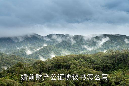 財產(chǎn)公證協(xié)議書，財產(chǎn)公證協(xié)議書怎么寫