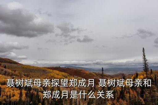 聶樹斌母親探望鄭成月 聶樹斌母親和鄭成月是什么關系