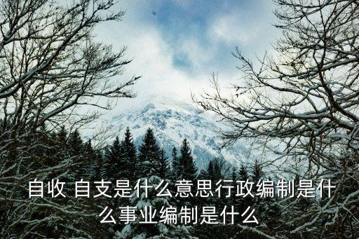 自收自支