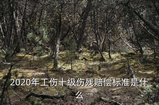 2020年工傷十級(jí)傷殘賠償標(biāo)準(zhǔn)是什么