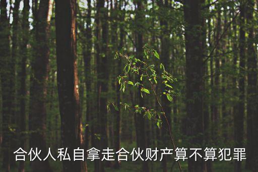 合伙人把錢占為己有算*嗎,個(gè)體戶合伙經(jīng)營(yíng)退股糾紛