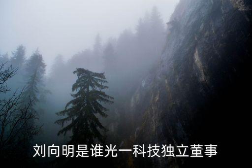 劉向明，劉向明的介紹