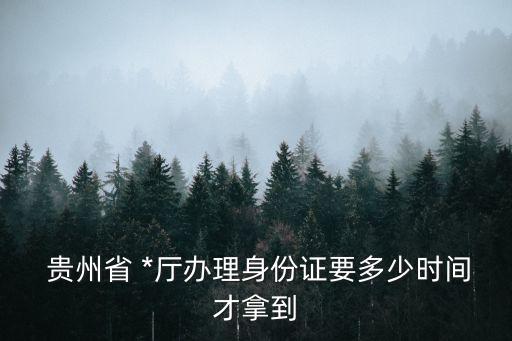 貴州*廳,劉高武貴州*廳