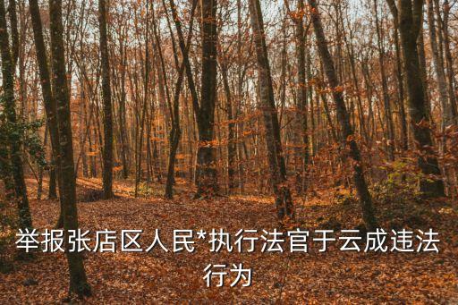 舉報張店區(qū)人民*執(zhí)行法官于云成違法行為