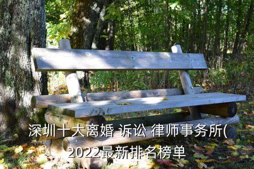 深圳訴訟律師