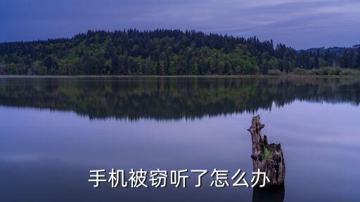 手機(jī)偷聽，單憑手機(jī)號(hào)碼能竊聽嗎