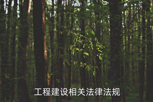 工程建設(shè)合同法,建設(shè)工程設(shè)計(jì)合同范本最新版