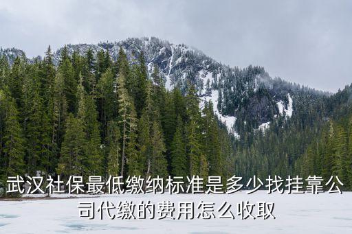 武漢社保最低繳納標準是多少找掛靠公司代繳的費用怎么收取