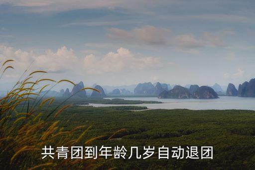 28歲自動(dòng)退團(tuán)嗎，如果到了28歲沒(méi)有辦理離團(tuán)手續(xù)是否算自動(dòng)離團(tuán)