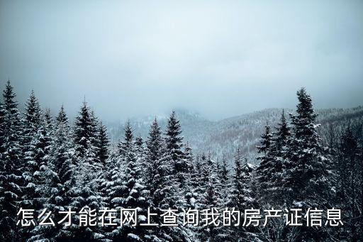 怎么才能在網(wǎng)上查詢我的房產(chǎn)證信息