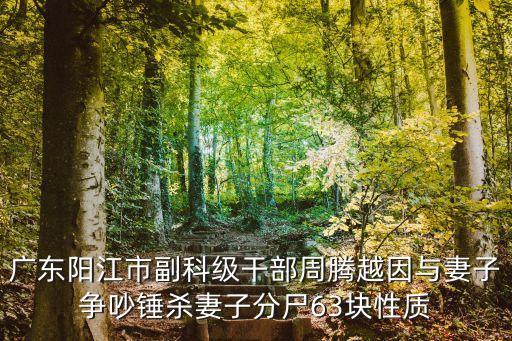 錘殺，廣東陽(yáng)江市副科級(jí)干部周騰越因與妻子爭(zhēng)吵錘殺妻子分尸63塊性質(zhì)