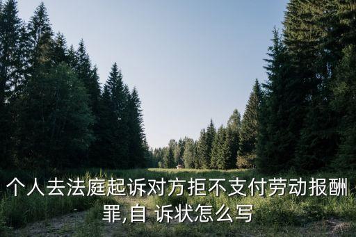 個(gè)人去法庭起訴對(duì)方拒不支付勞動(dòng)報(bào)酬罪,自 訴狀怎么寫(xiě)