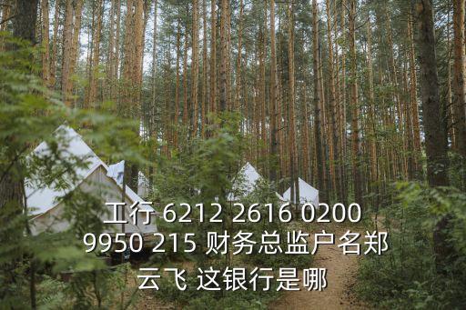 工行 6212 2616 0200 9950 215 財務總監(jiān)戶名鄭云飛 這銀行是哪