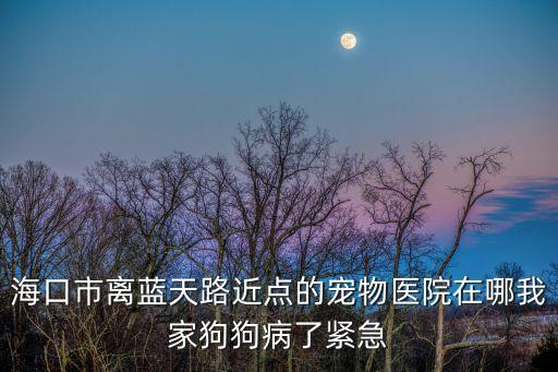 海口市離藍(lán)天路近點(diǎn)的寵物醫(yī)院在哪我家狗狗病了緊急