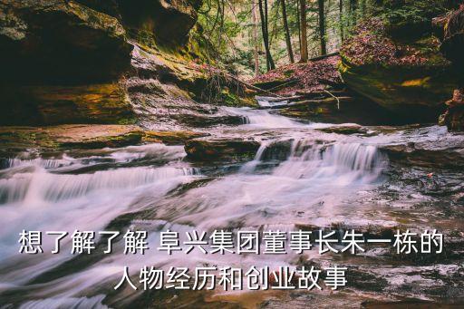 阜興