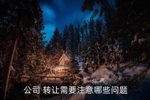公司轉(zhuǎn)讓