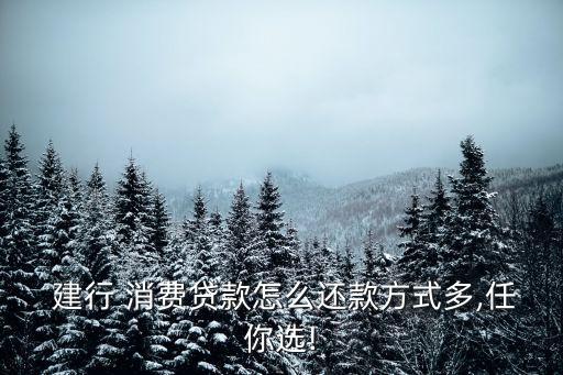 建行消費貸