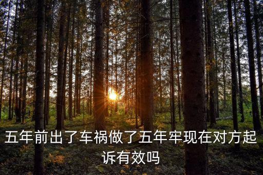 訴棍，五年前出了車(chē)禍做了五年牢現(xiàn)在對(duì)方起訴有效嗎