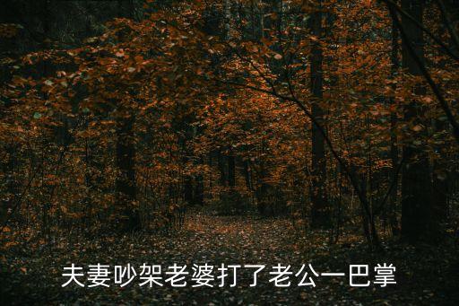 老婆打老公，老婆可以打老公嗎