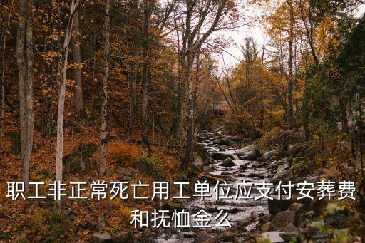 職工非正常死亡用工單位應(yīng)支付安葬費和撫恤金么