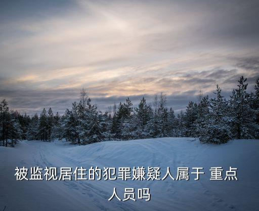 重點(diǎn)人員