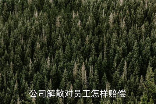 公司解散，公司突然解散員工我該怎么辦