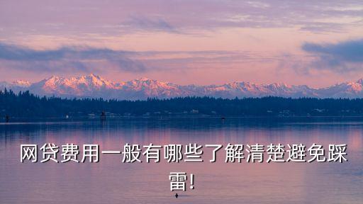協(xié)商網(wǎng)貸一般怎么收費(fèi),停息掛賬自己怎么去申請