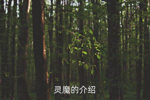 何志剛，何志剛這個(gè)名字什么意思