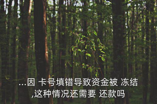 招聯(lián)金融卡號(hào)輸錯(cuò)凍結(jié)需要還款嗎,借款沒(méi)成功凍結(jié)了需要還款嗎