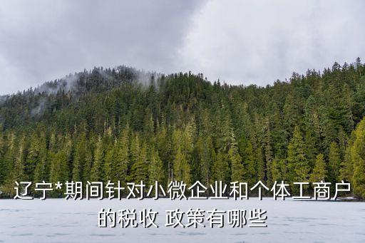 最新國家對勞務(wù)公司的政策,建筑勞務(wù)公司最新政策