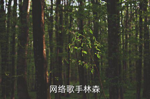 網(wǎng)絡(luò)歌手林森