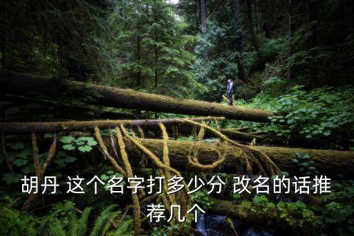 胡丹 這個(gè)名字打多少分 改名的話推薦幾個(gè)
