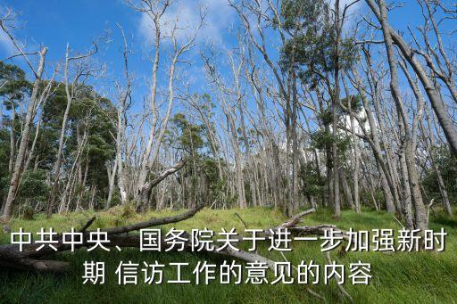中共中央、國(guó)務(wù)院關(guān)于進(jìn)一步加強(qiáng)新時(shí)期 信訪工作的意見(jiàn)的內(nèi)容