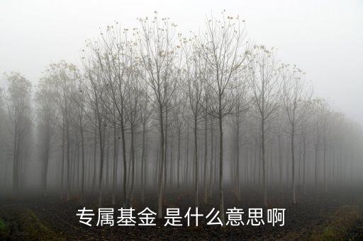 專(zhuān)屬基金 是什么意思啊