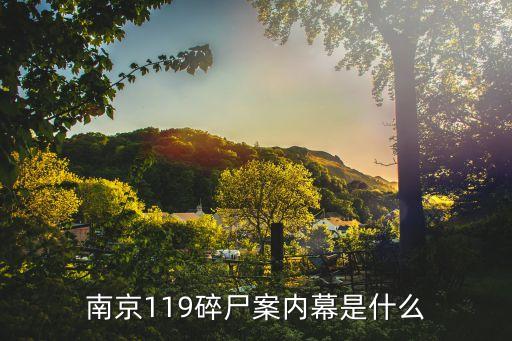 南京兇殺案，南京大屠殺簡介