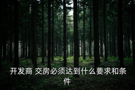 開(kāi)發(fā)商交房