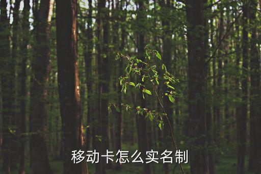 移動卡怎么實名制