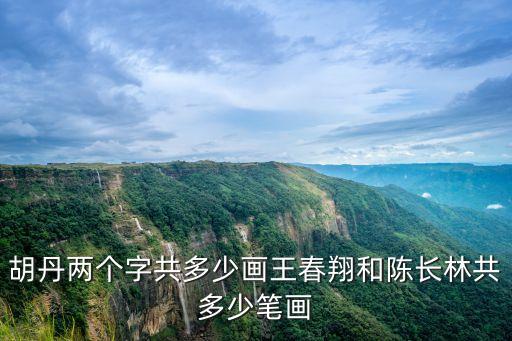 胡丹，胡丹 這個名字打多少分 改名的話推薦幾個