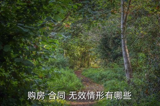 購房 合同 無效情形有哪些