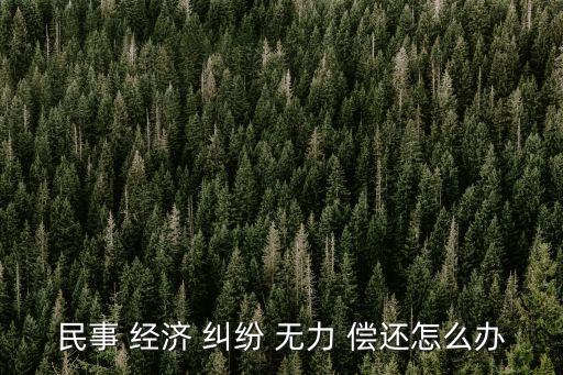 民事 經(jīng)濟(jì) 糾紛 無(wú)力 償還怎么辦