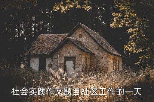 王永中，求一篇初一社區(qū)社會(huì)調(diào)查或?qū)嵺`300500字左右