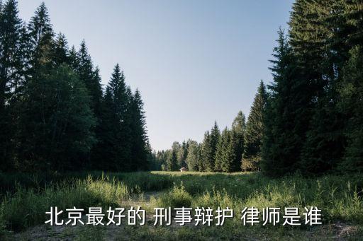 北京刑事律師