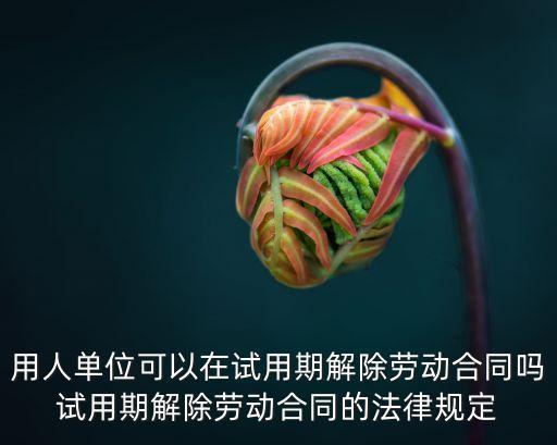 合同法的精神,契約精神在合同法中的體現(xiàn)