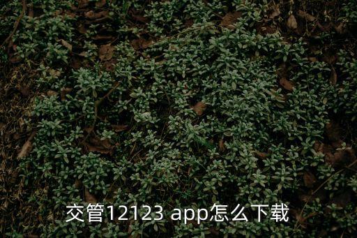 交管12123 app怎么下載