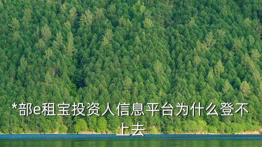 *部e租寶投資人信息平臺(tái)為什么登不上去