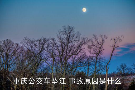 重慶公交車(chē)墜江 事故原因是什么