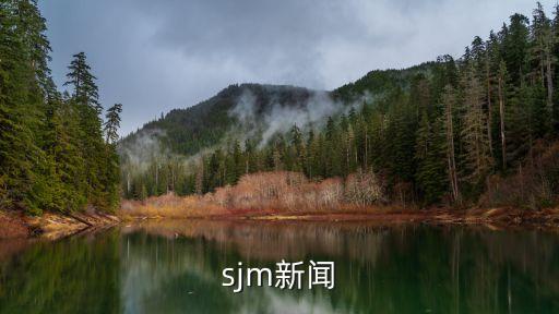 陸豐新聞，sjm新聞